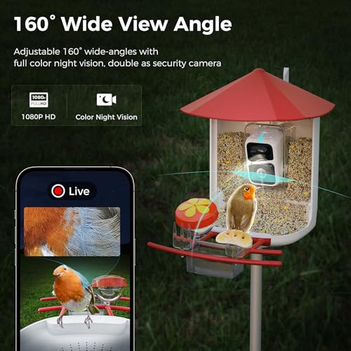 Bird Feeder with Camera N188018