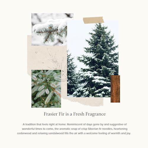 Frasier Fir Pine Needle Candle (2 oz) L3312