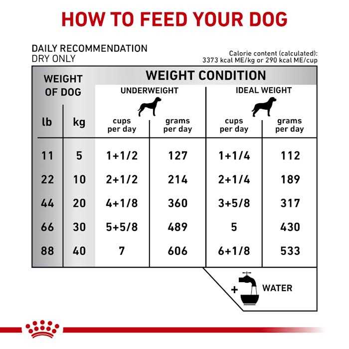 Veterinary Diet Gastrointestinal Fiber Response Dry Dog Food N760