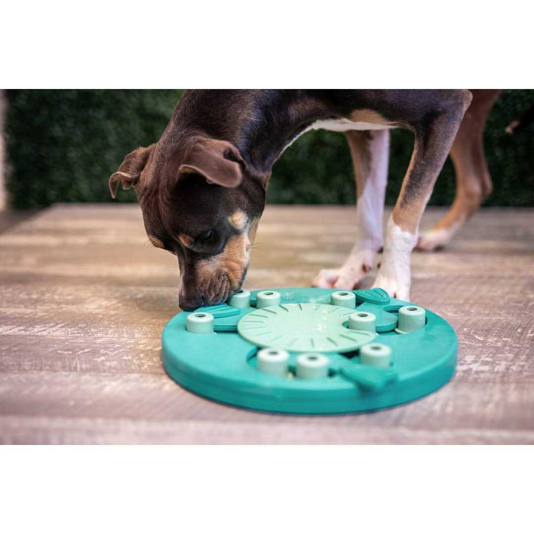 Interactive Puzzle Dog Toy T40474