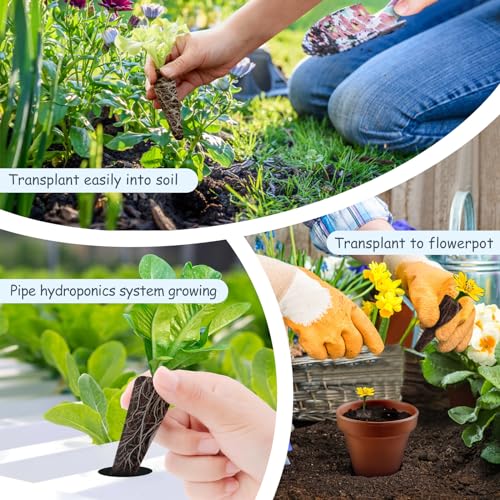 121pcs Seed Pod Kit with 30 Grow Sponges, 30 Grow Baskets, 30 Grow Domes, 1 Tweezers Q20515