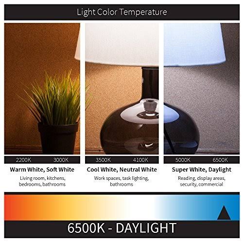 65 Watt Spiral CFL Light Bulb Mogul Base 120 Volt Daylight D6983