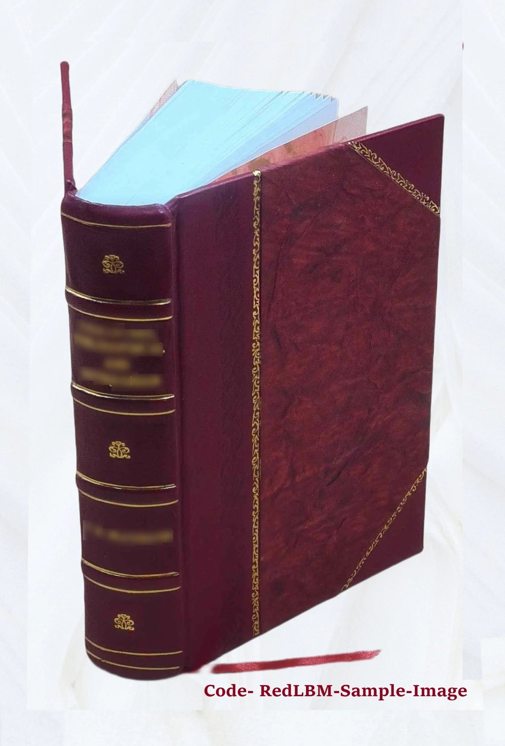Leather Bound Book R2902