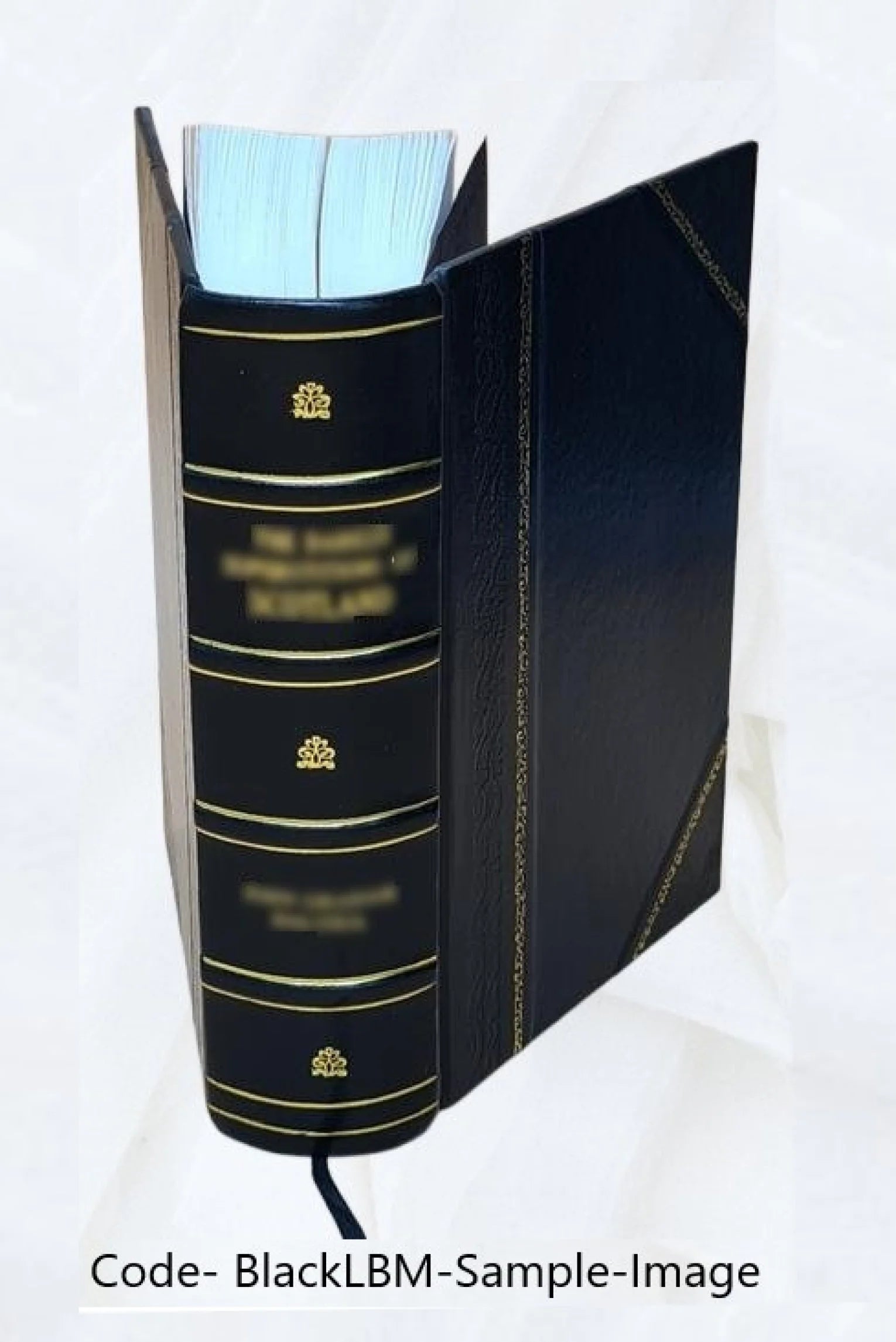 Leather Bound Book R2902