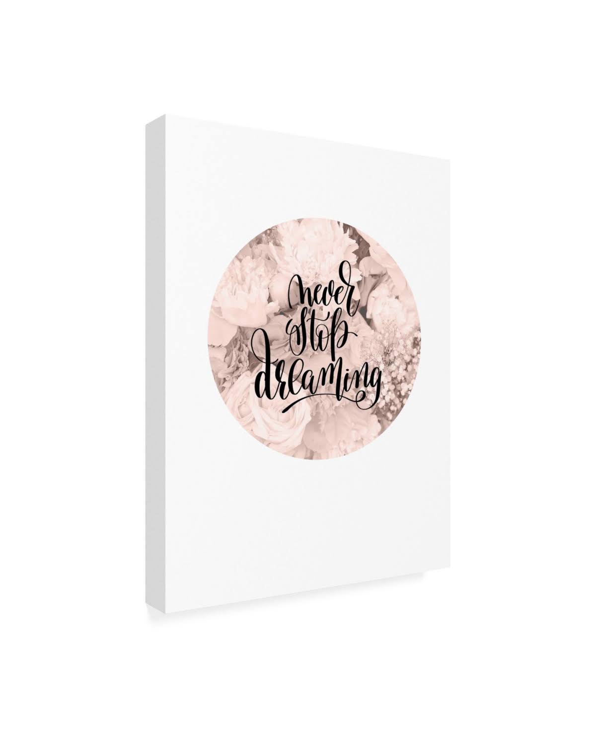 Never Stop Dreaming Canvas Art T1437