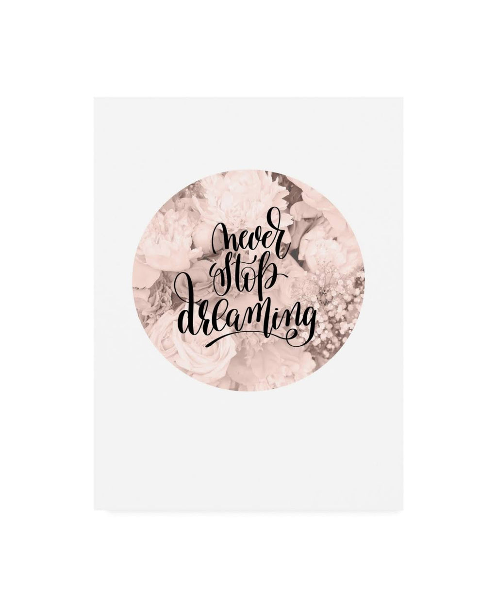Never Stop Dreaming Canvas Art T1437
