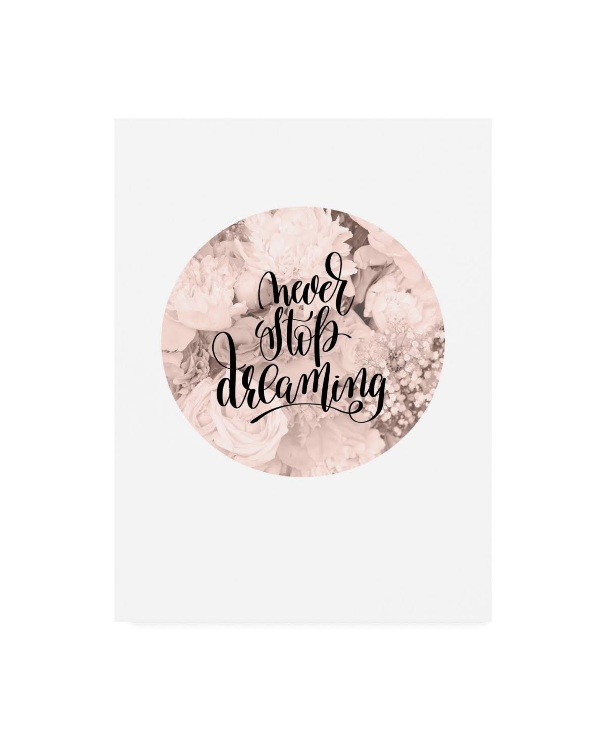 Never Stop Dreaming Canvas Art T1437
