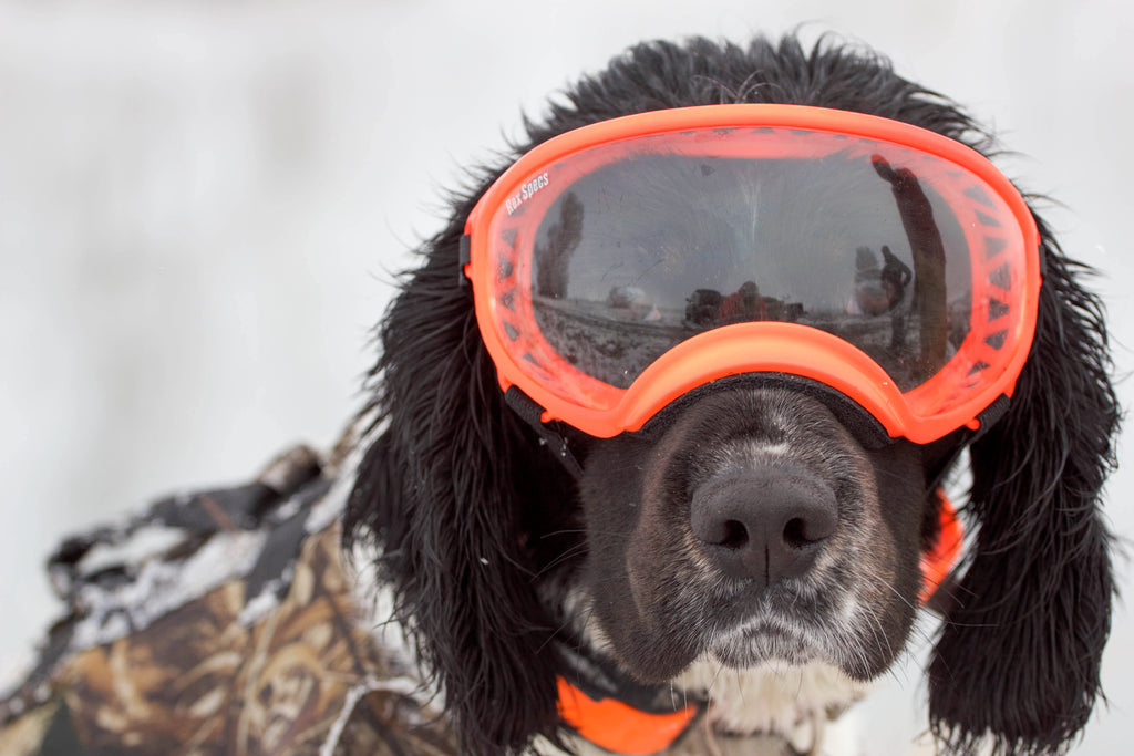 Army Green Dog Goggles with 2 Clear Lenses P1208