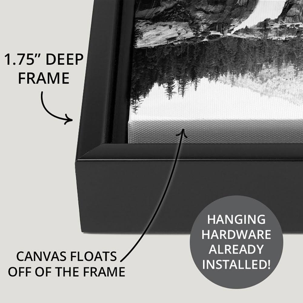 Black Float Frame Canvas Art - 48 x 32 F6254