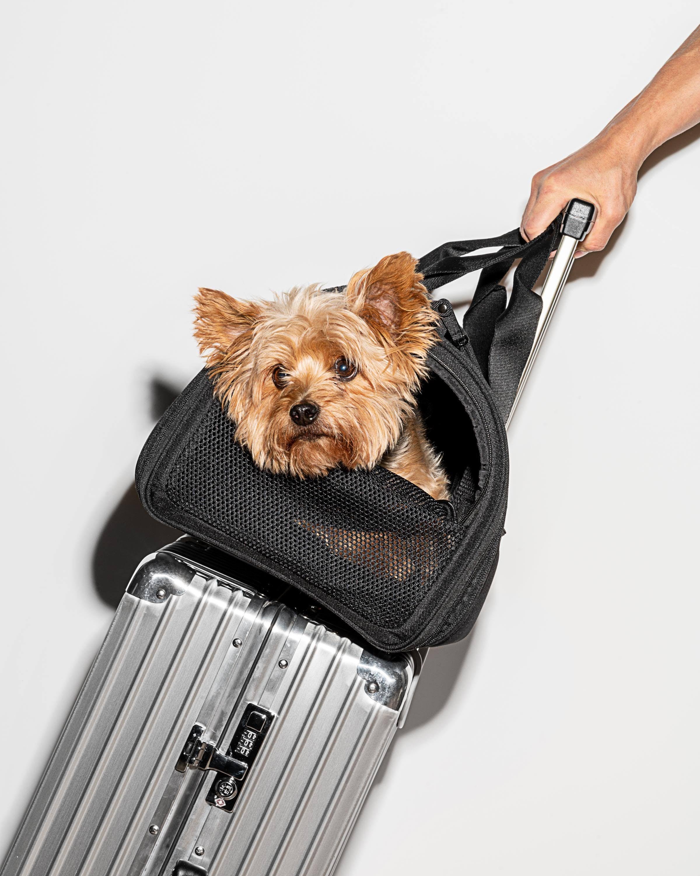 Black Travel Carrier R69670