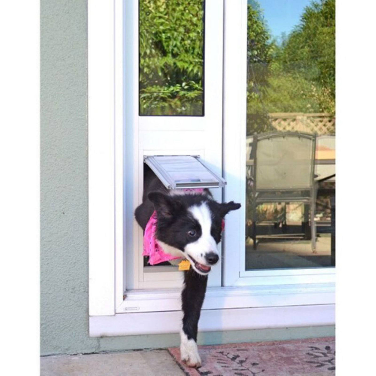 Bronze Frame Extra Large Pet Door Thermo Panel L98704