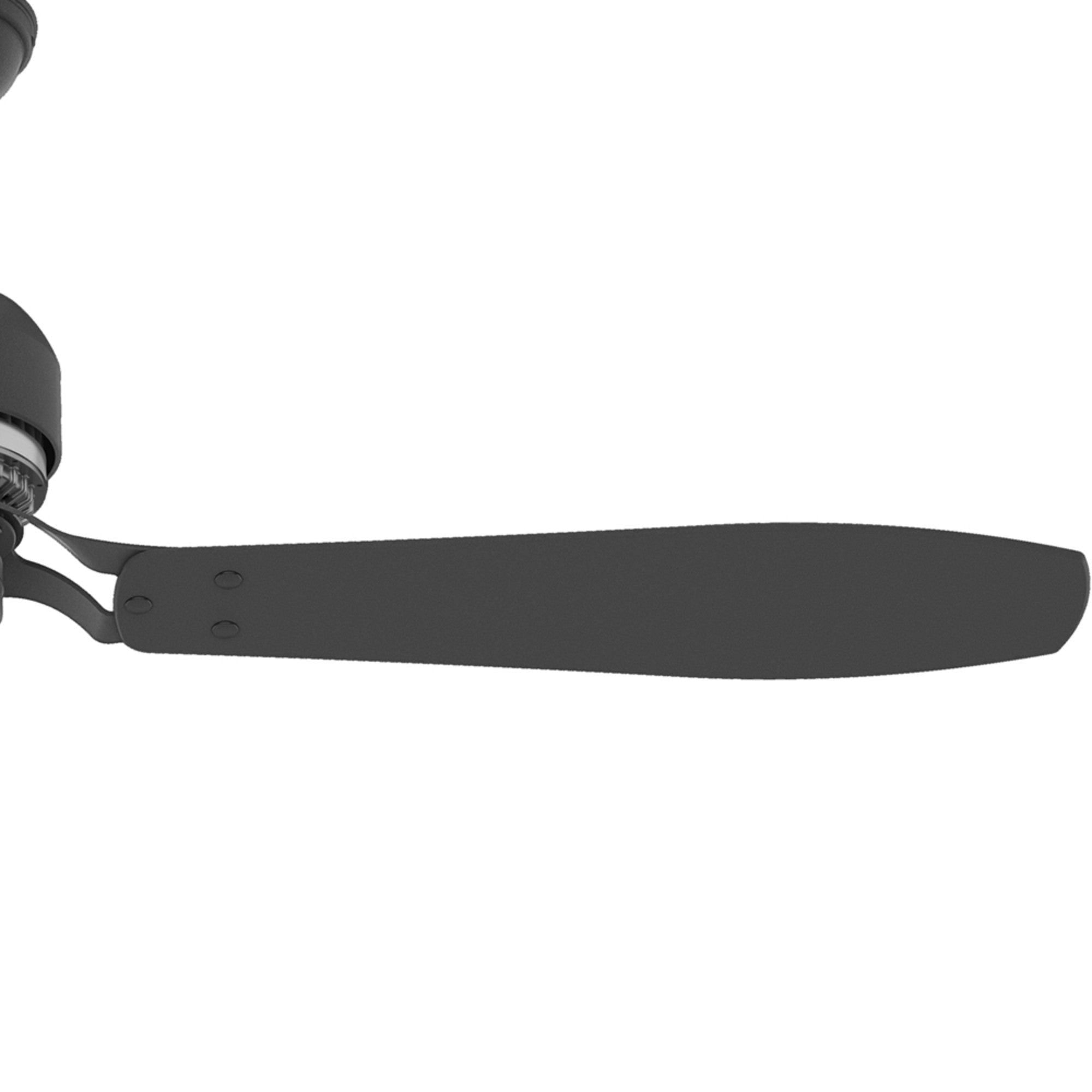Brushed Nickel Ceiling Fan with Burnt Walnut/Walnut Blades L5180
