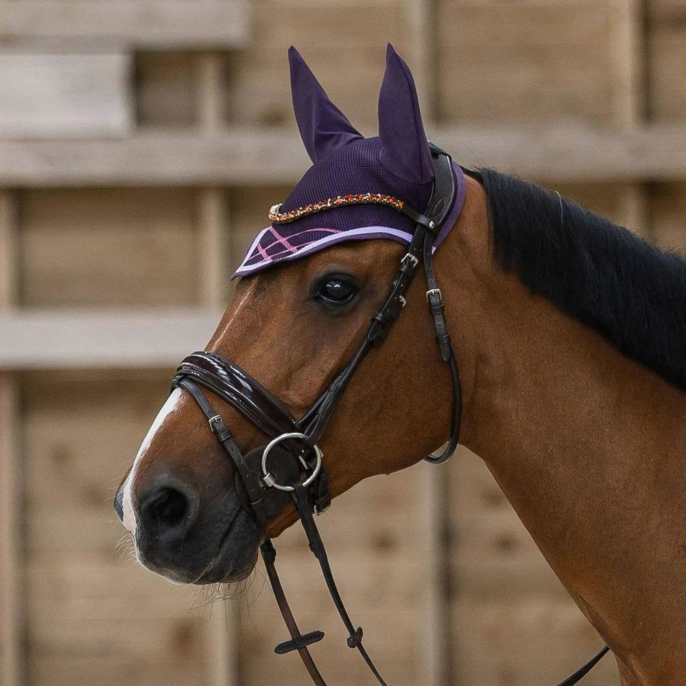 Black Warmblood Bridle F7229