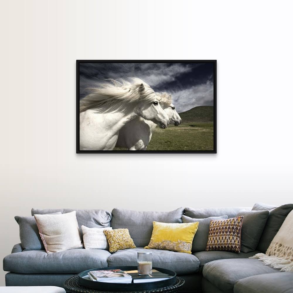 Black Float Frame Canvas Art - 48 x 32 F6254