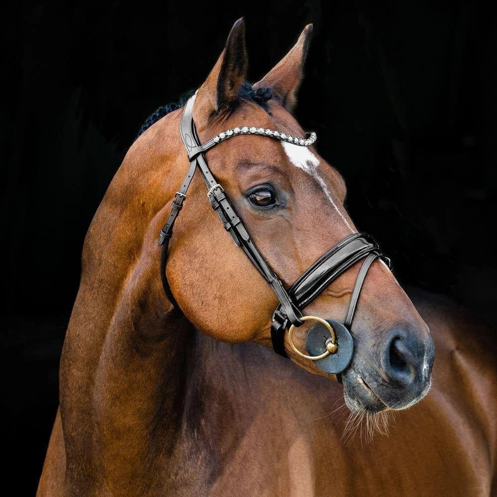Black Warmblood Bridle F7229