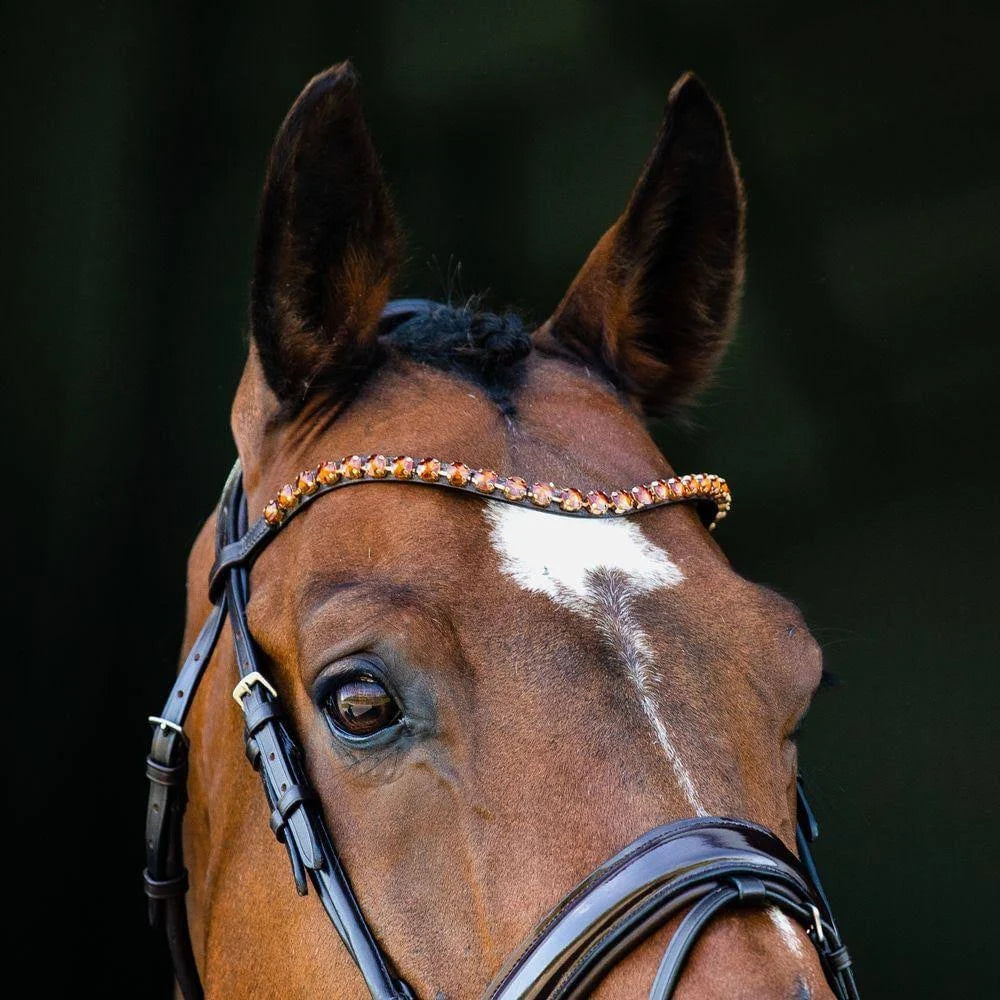 Black Warmblood Bridle F7229