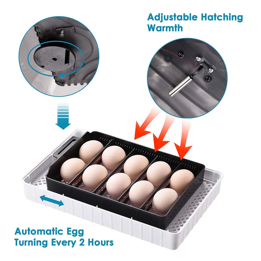 9-35 Eggs Automatic Incubator Digital Poultry Hatcher R430854