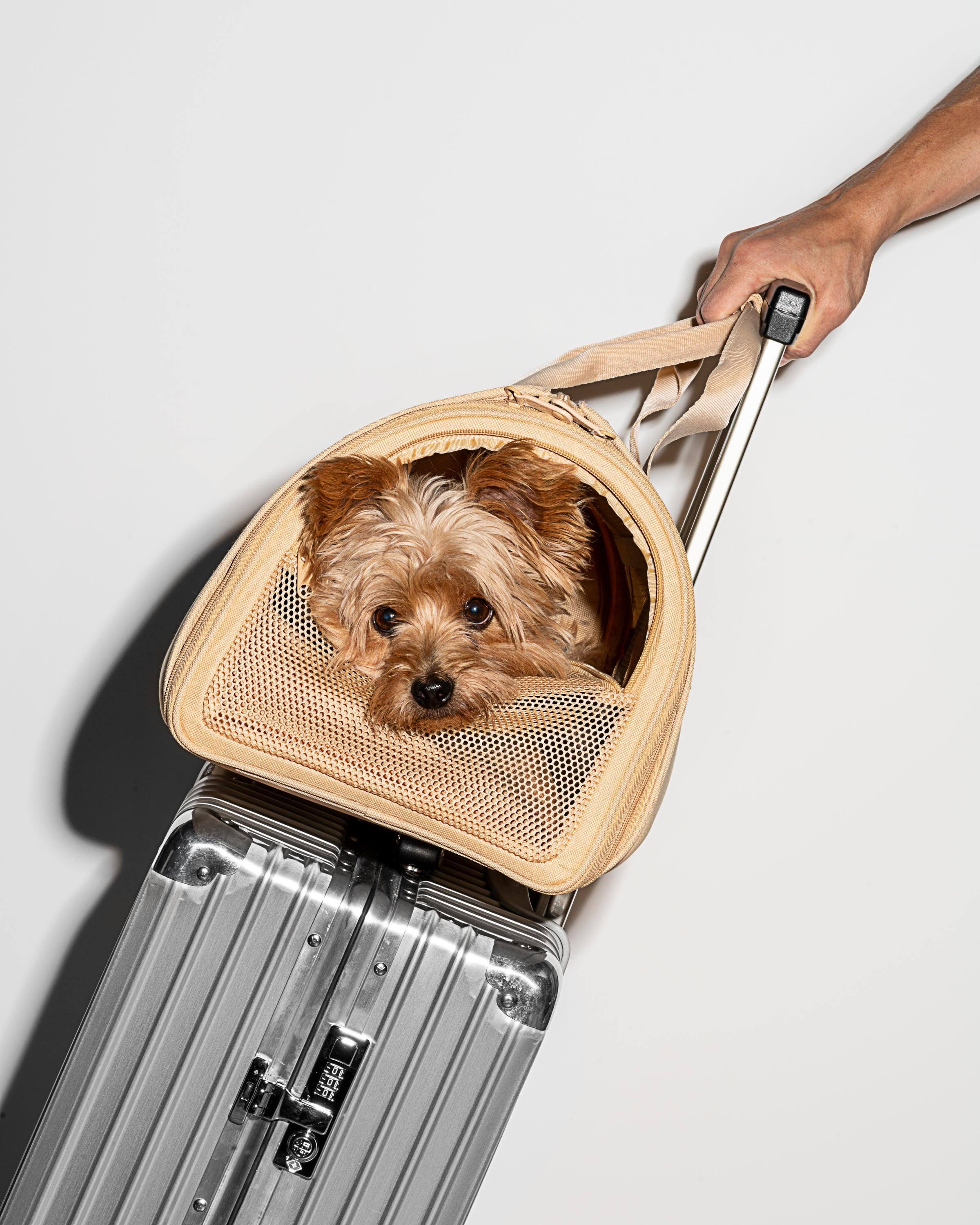 Black Travel Carrier R69670